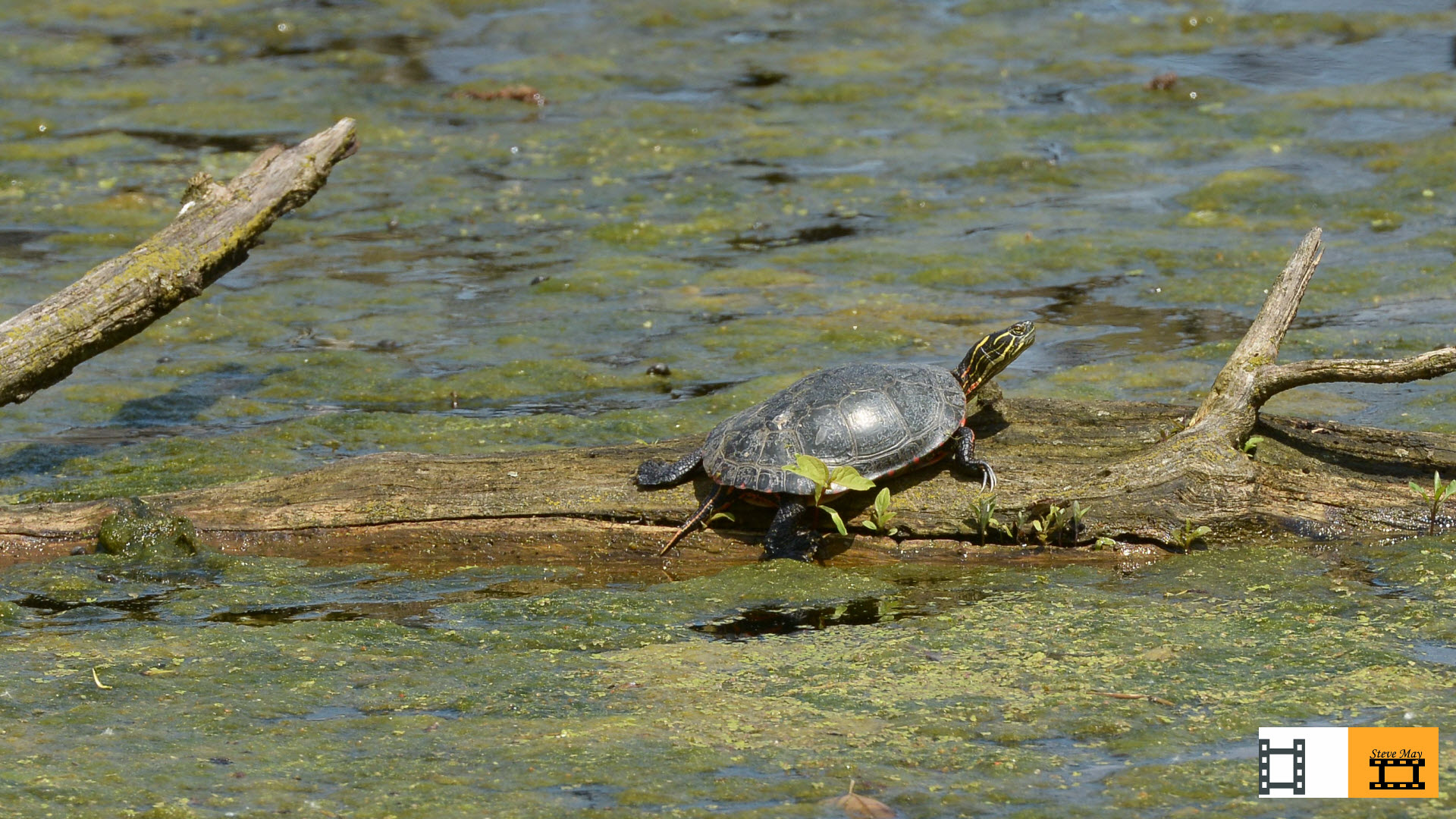 Chicago Portage National Historic Site, an Illinois National Historic