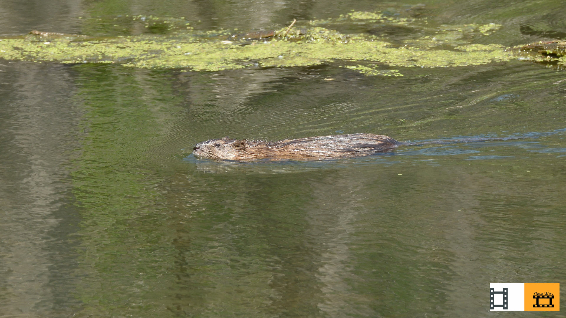 Chicago Portage National Historic Site, an Illinois National Historic
